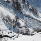 besse_mg_2942