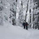 21_brouffier_mg_2200.jpg