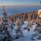 34_brouffier_mg_2301.jpg