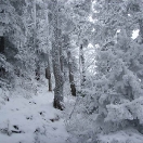 09_moucherotte_mg_1979.jpg