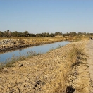 02_siwa_mg_1384.jpg