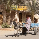 13_siwa_mg_1546.jpg