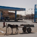14_siwa_mg_1548.jpg
