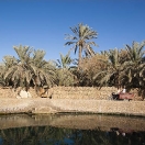 25_siwa_mg_1629.jpg