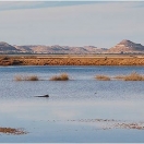 siwa_mg_1379